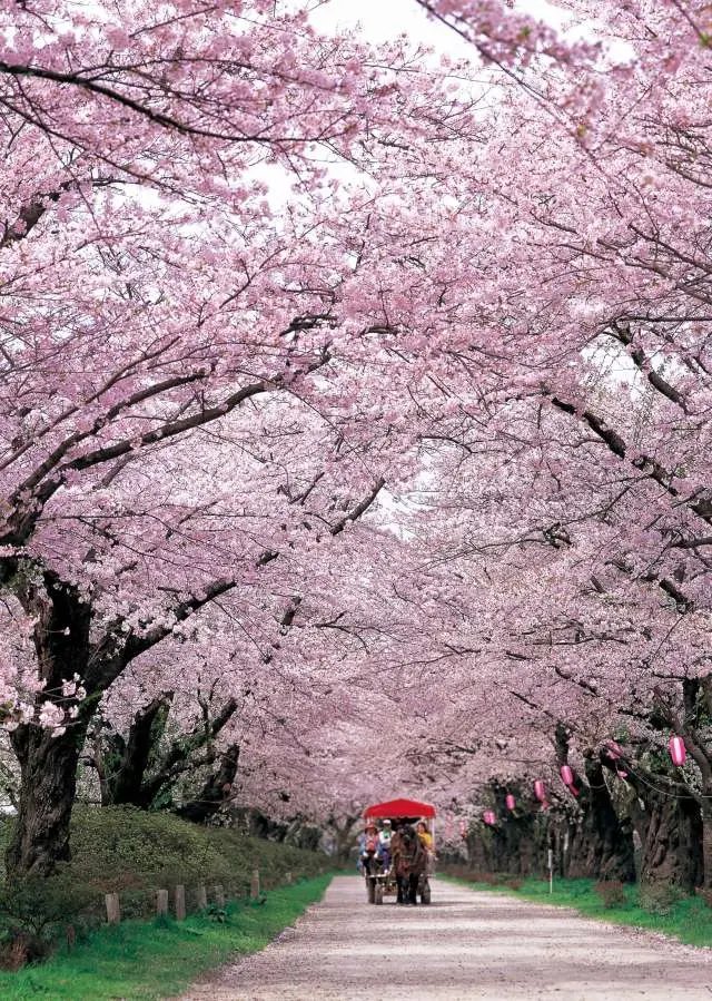 🏞️ 이와테 현립 농업 교류 공원・농업 과학 박물관(이와테켄리쓰 노교 후레아이 코엔・노교 카가쿠 하쿠부쓰칸) 이미지 9